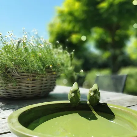 Lili's Tuin
